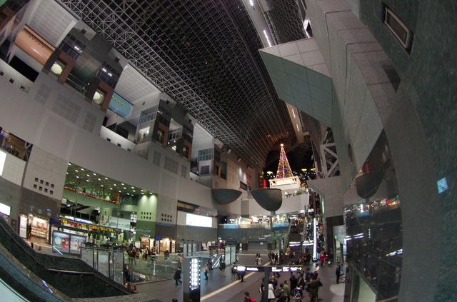 IMGP0813.jpg