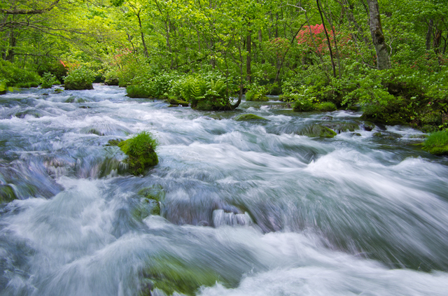 20110605-_IGP5668.jpg