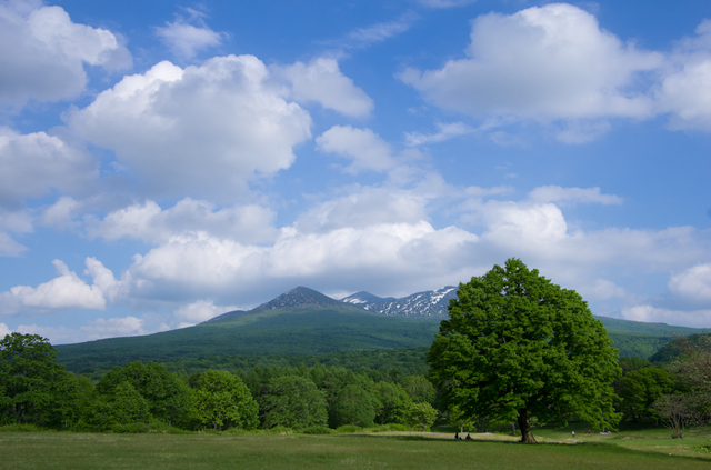 20110605-_IGP5811.jpg