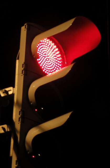 DSC00150_.jpg
