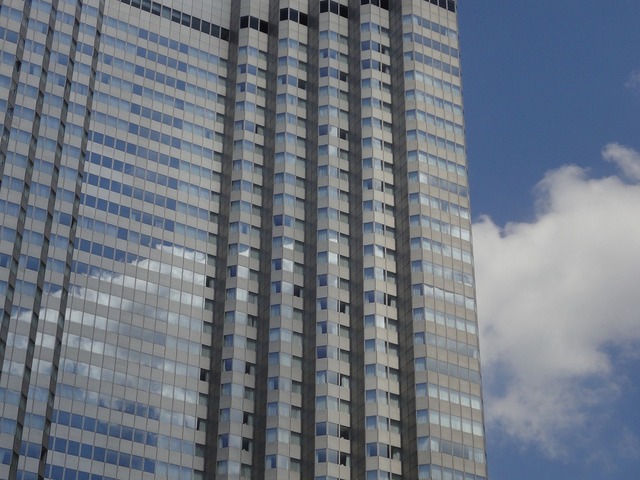 DSC02136.jpg