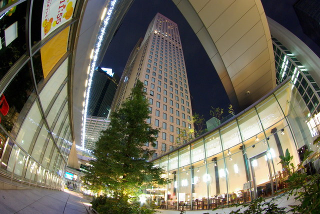 IMGP7874-1024.jpg