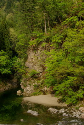 IMGP8225-1024.jpg