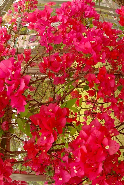 IMGP8422.jpg