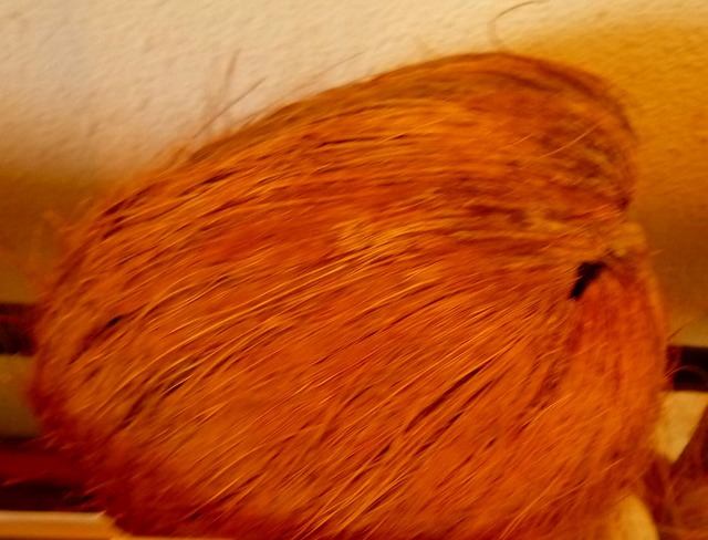 P1000881.jpg