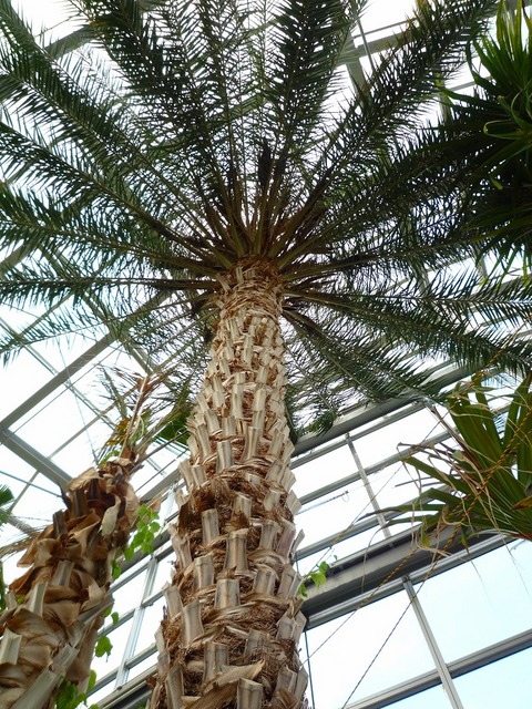 P1000887.jpg