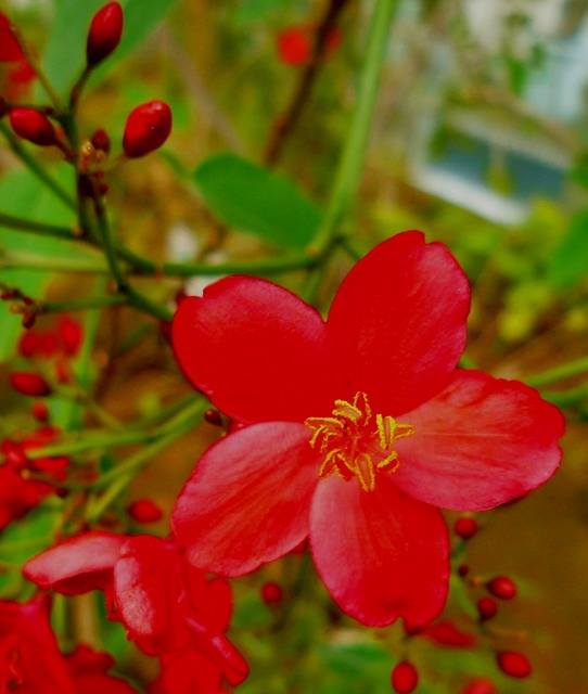 P1000891.jpg