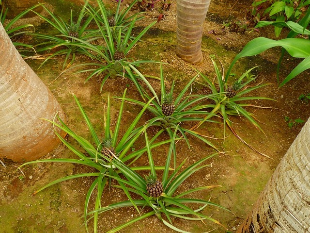 P1000901.jpg