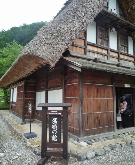 P1030160.jpg