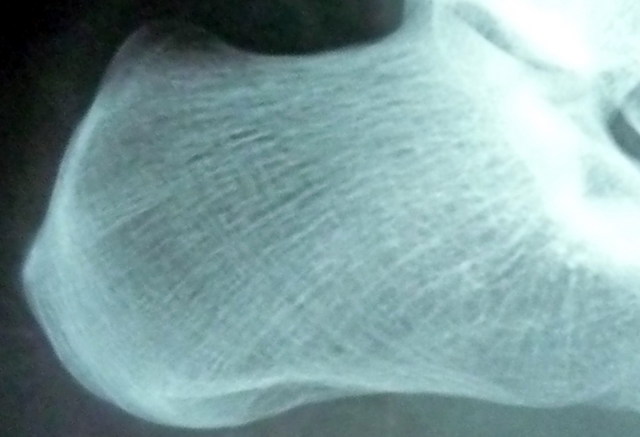 P1050689_.jpg