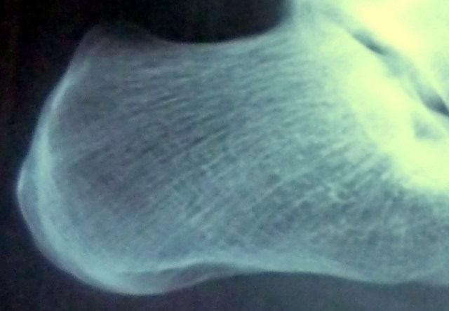 P1050691_.jpg