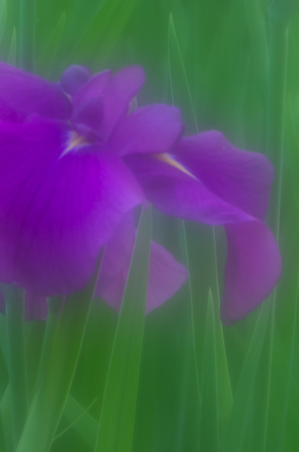 _IGP6165.jpg