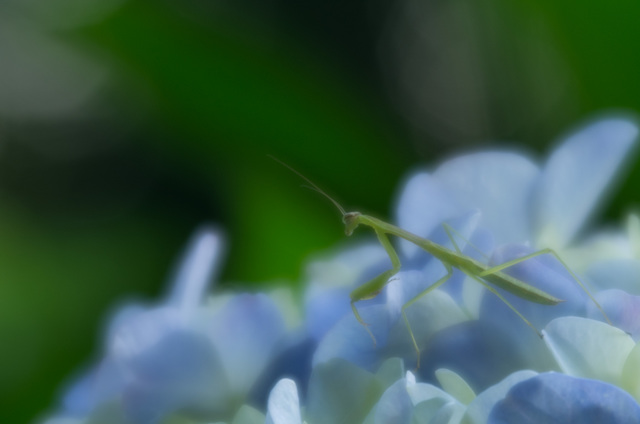 _IGP6177.jpg