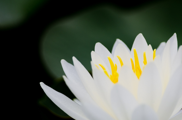 20110528-_IGP5178.jpg
