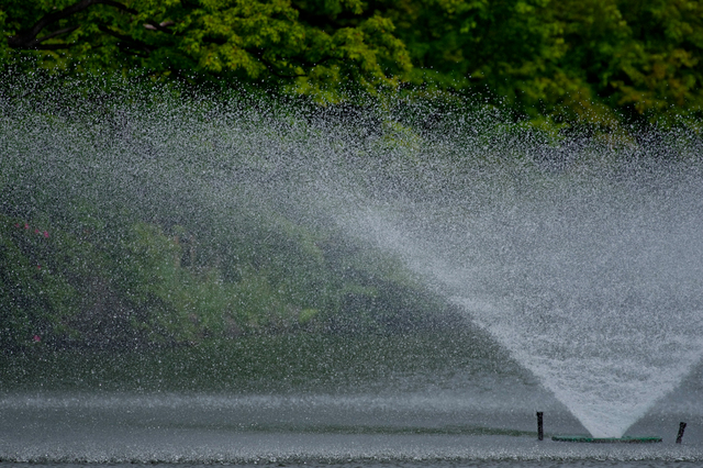 20110611-_IGP6071.jpg