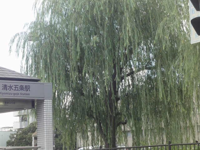 DSC02401.jpg
