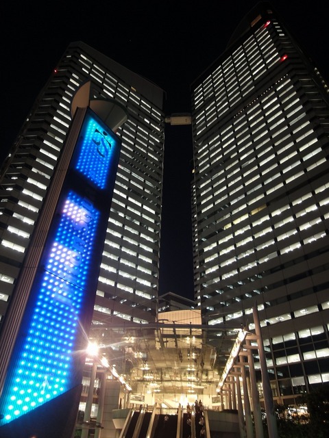DSC02421.jpg