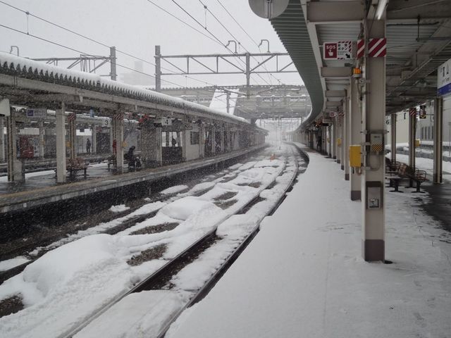 DSC03088.jpg