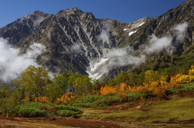 IMGP1921-s.jpg