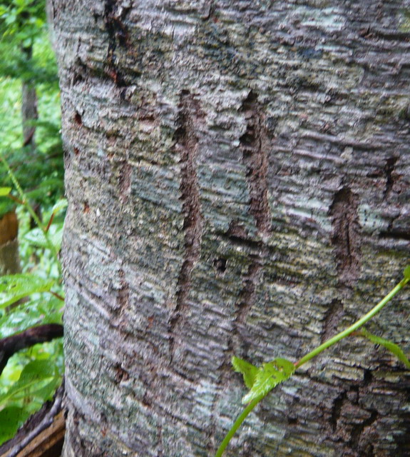 P1020914_exposure.jpg