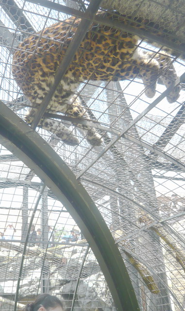 P1030110_exposure_.jpg