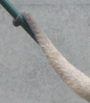 P1030119_.jpg