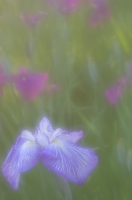 _IGP6160.jpg